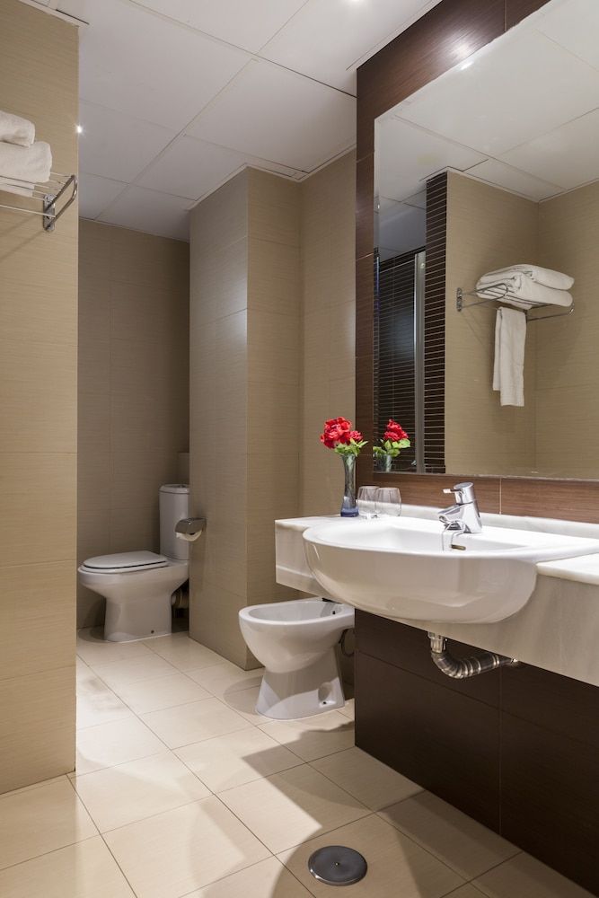 Hotel Don Paco Sevilla Standard Room 7