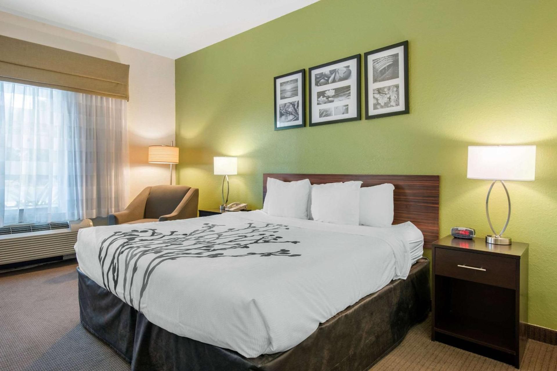 1 King Bed, Nonsmoking, Accessible