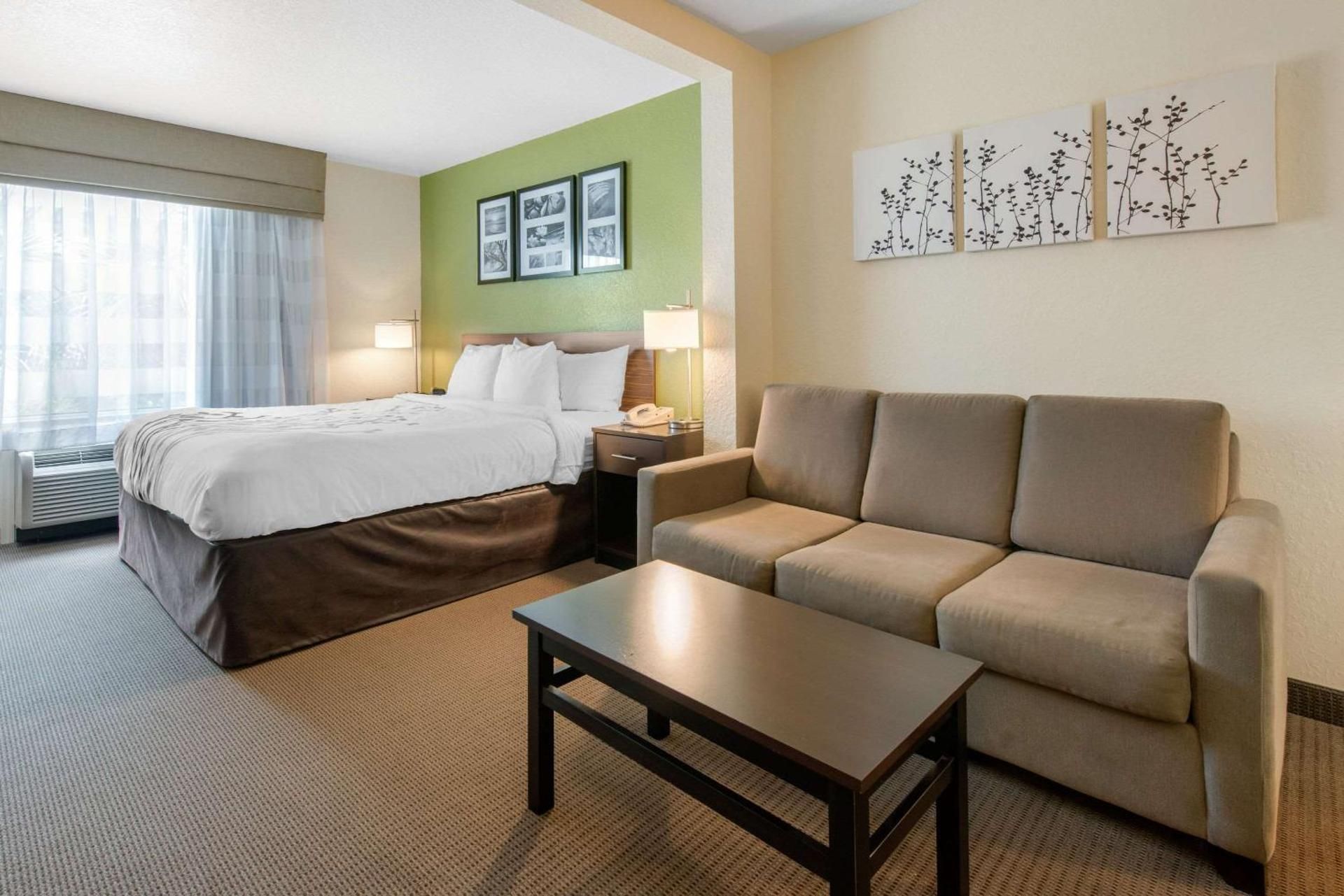 1 King Bed, Suite, Nonsmoking