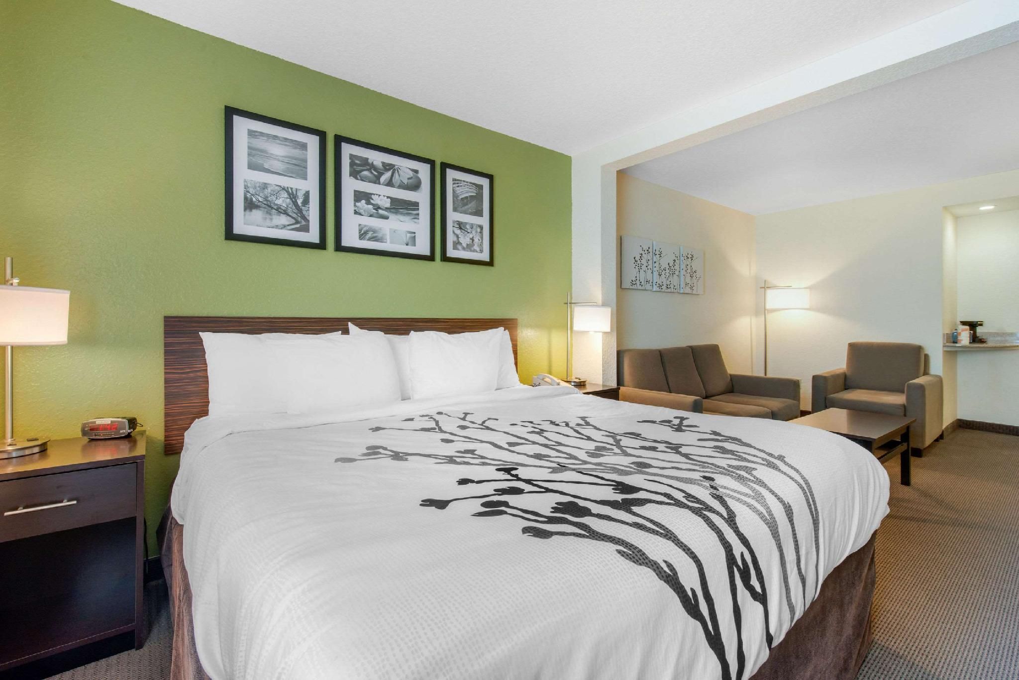 1 King Bed, Suite, Nonsmoking