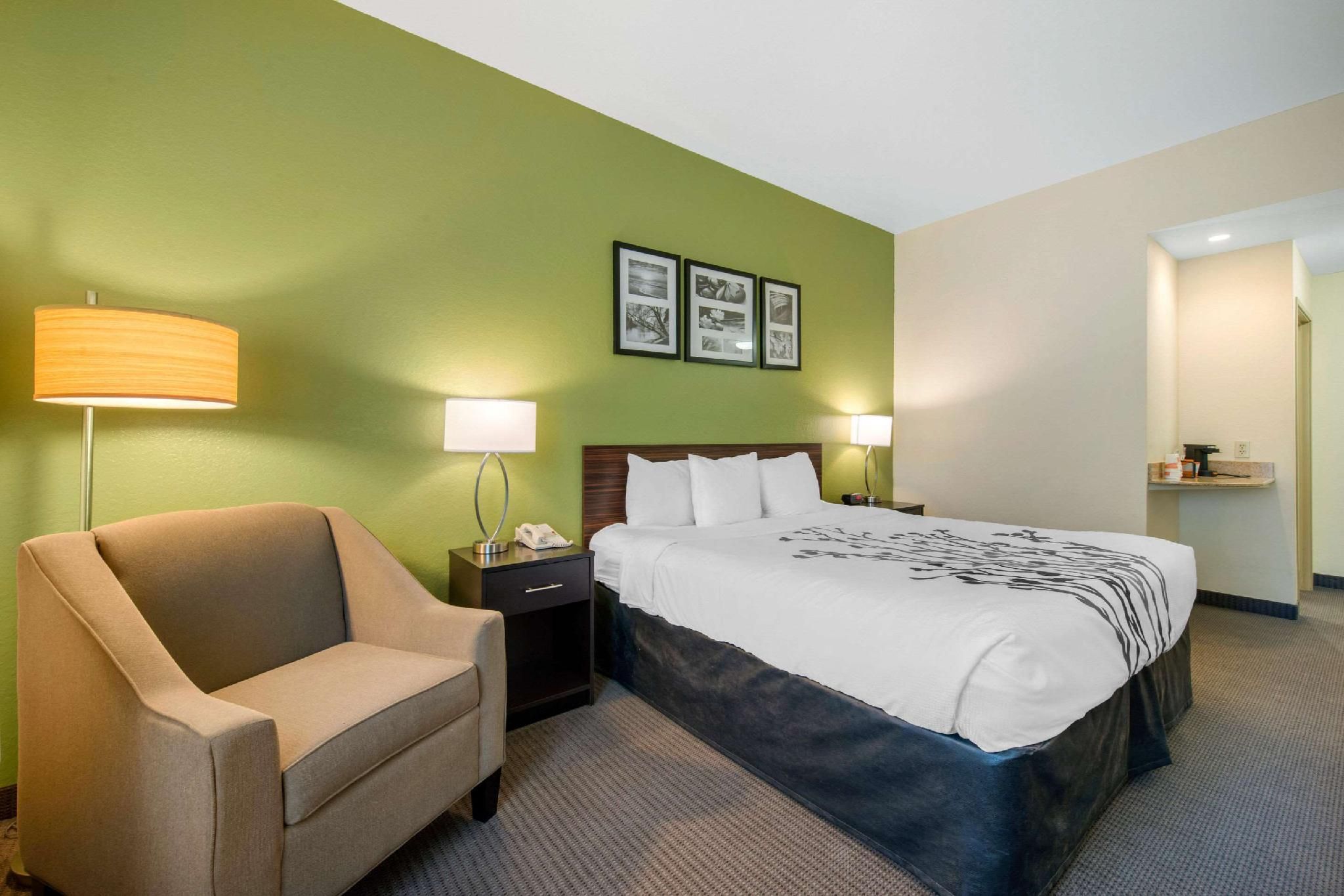 1 King Bed, Nonsmoking, Accessible