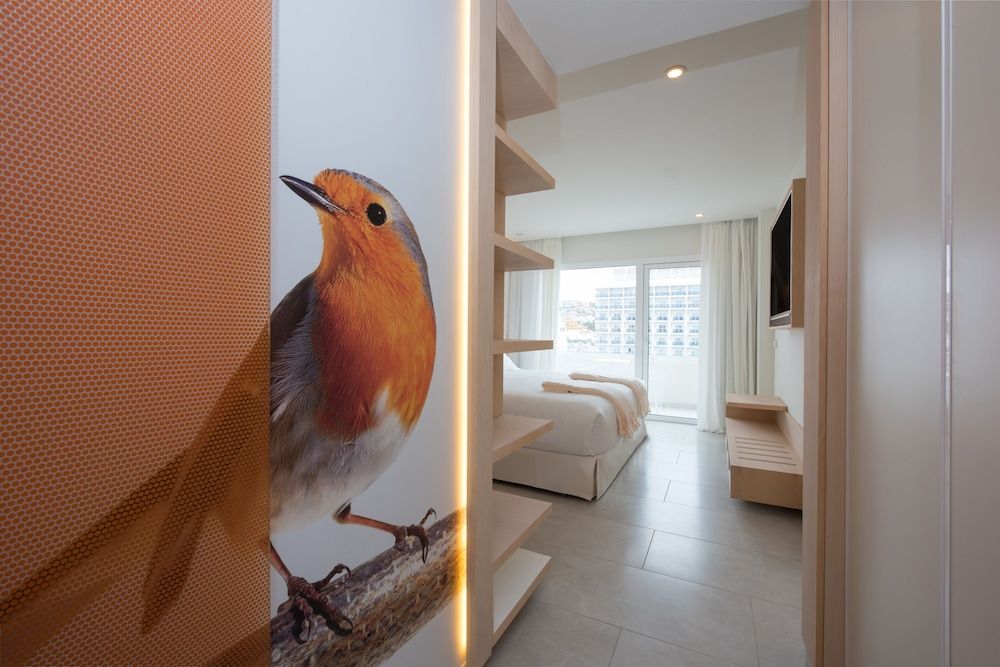 Iberostar Selection Sábila - Adults Only Twin Room 3