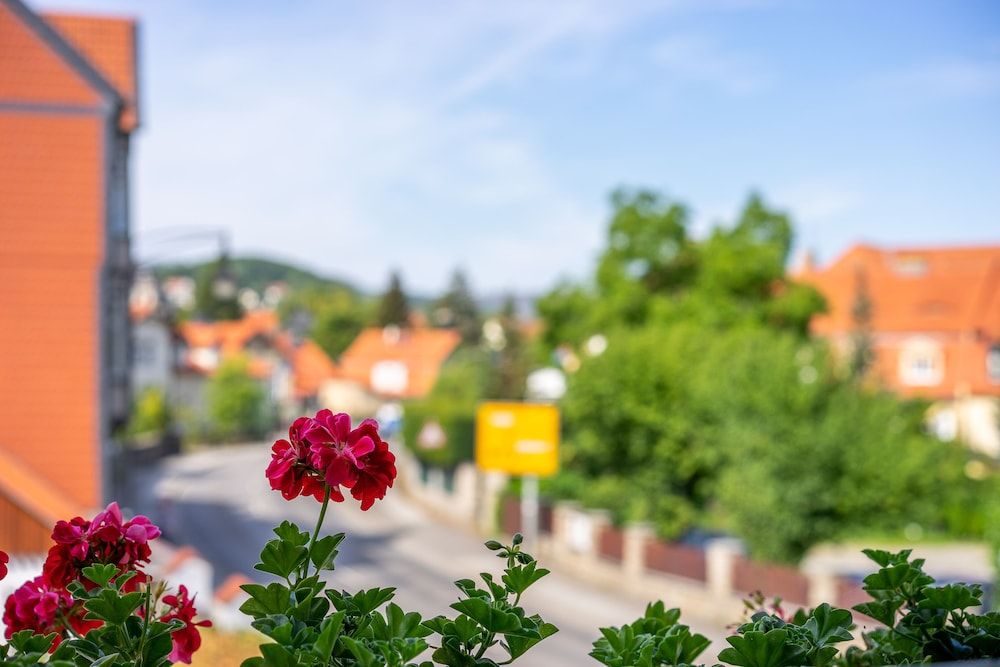 Boutiquehotel Schlosspalais Single Room 3