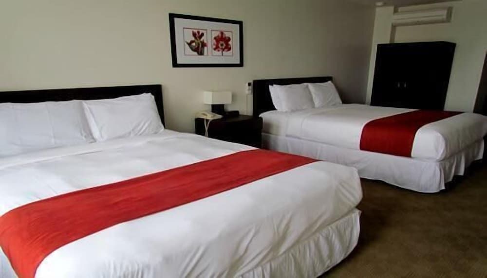 undefined The Hotel 91 5