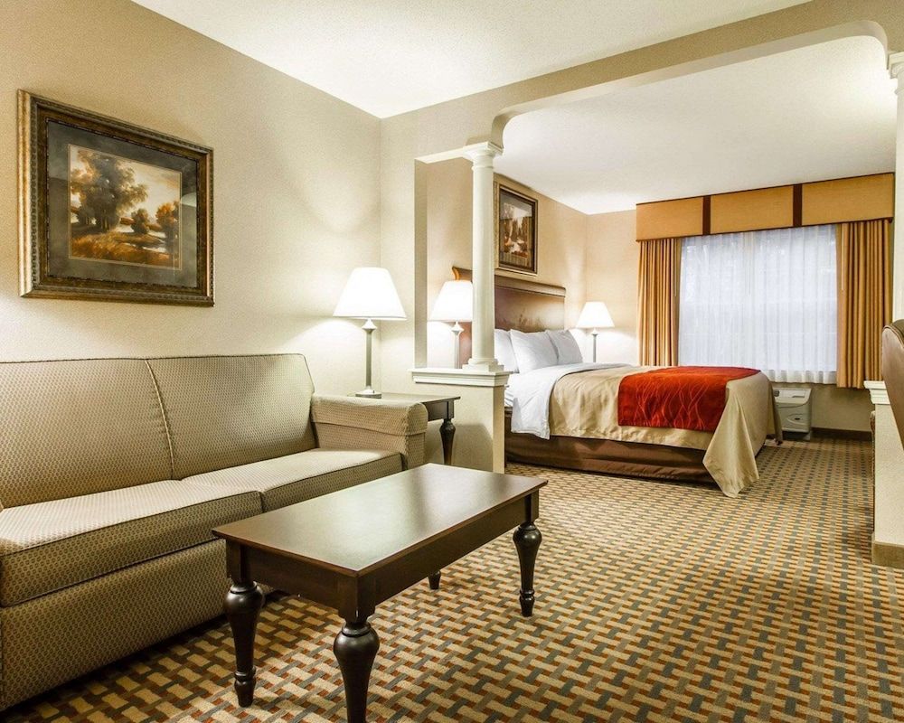 Suite, 1 King Bed with Sofa bed, Non Smoking