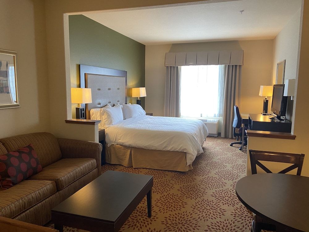 Suite, 1 King Bed with Sofa bed