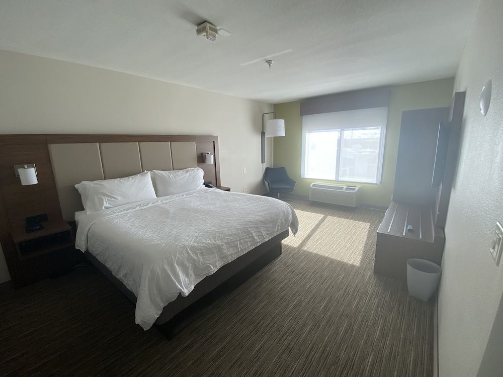 Suite, 1 King Bed with Sofa bed