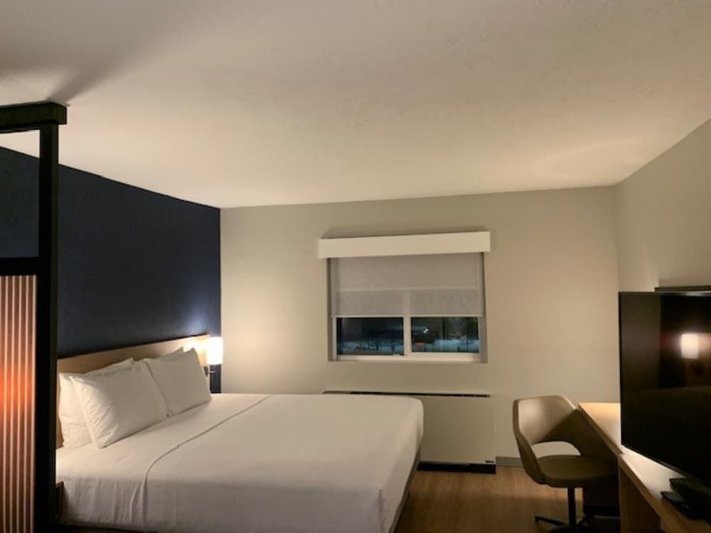 Room, 1 King Bed with Sofa bed