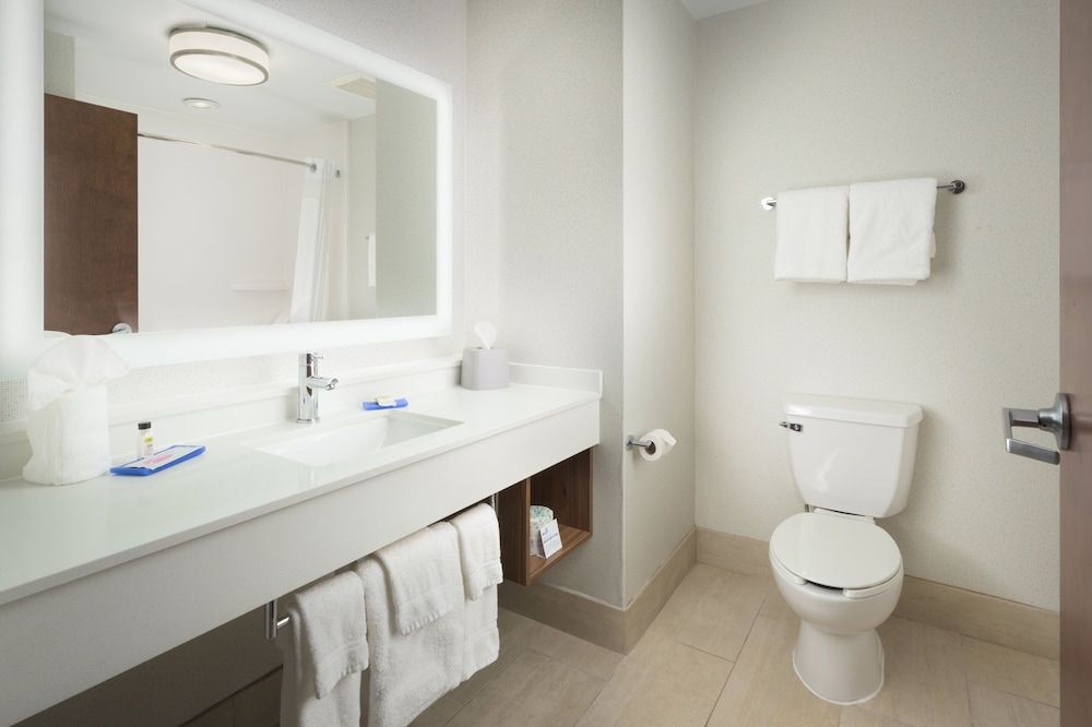 Suite, 1 King Bed, Accessible (Accessible Tub)