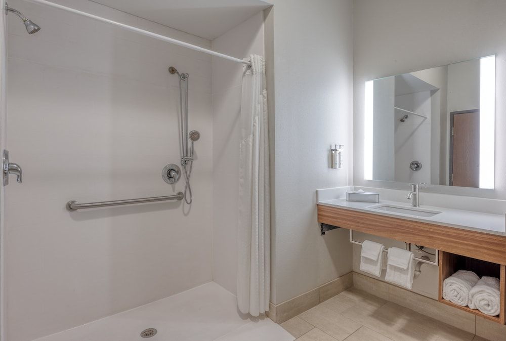 Standard Room, 1 King Bed, Accessible (Mobility, Roll-In Shower)