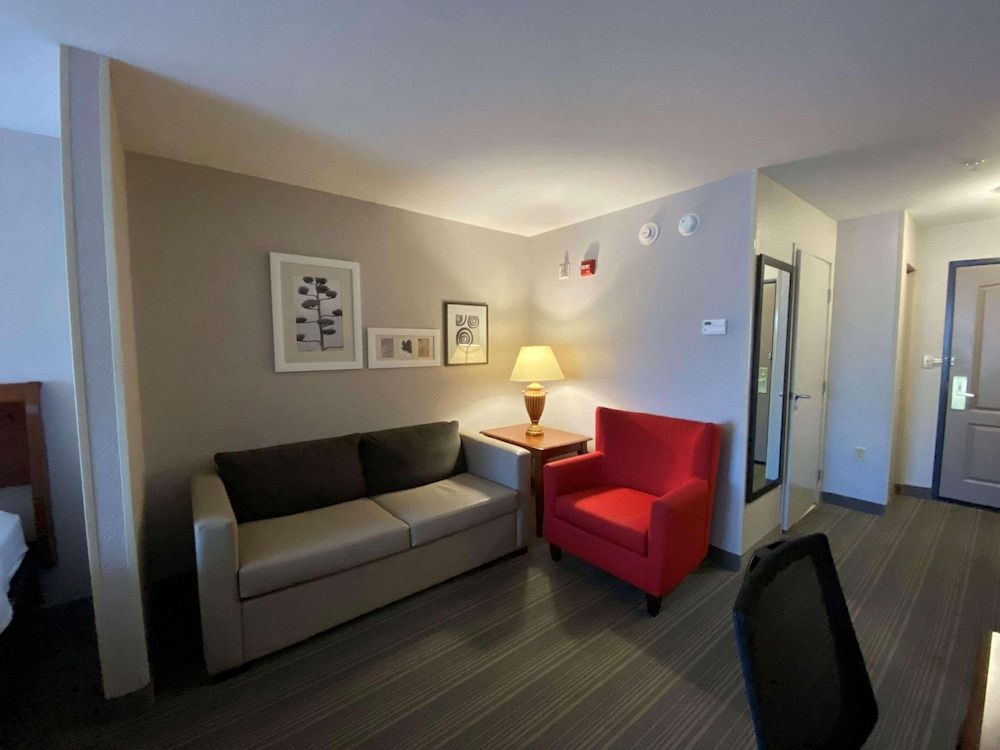 Studio Suite, 1 King Bed with Sofa bed, Accessible, Non Smoking