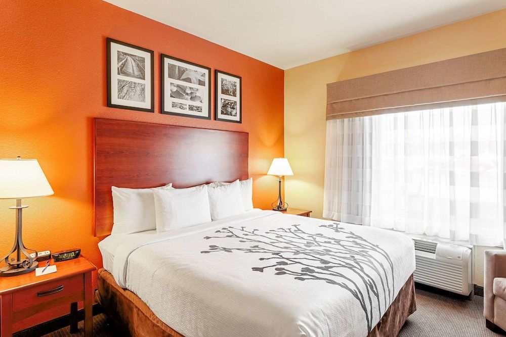 Standard Room, 1 King Bed, Non Smoking