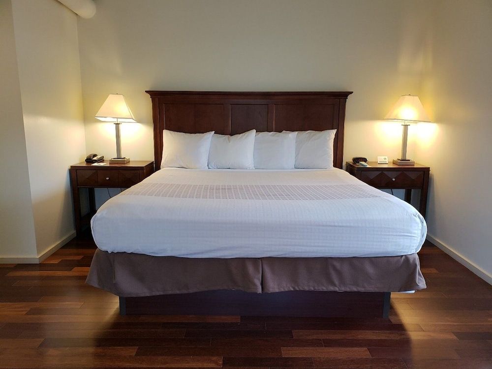 1 Bedroom suite