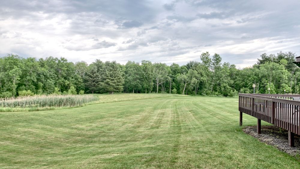 Roosevelt Inn and Suites Saratoga Springs Courtside Room 1 King Bed 4