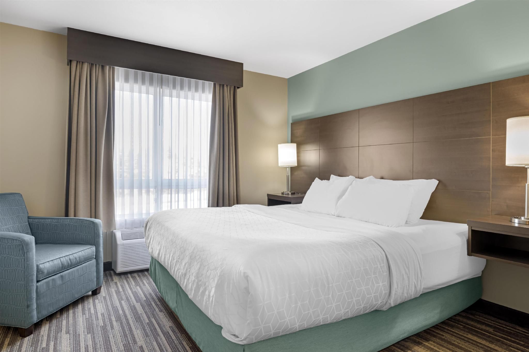 Suite - 1 King Bed, Nonsmoking, Sofabed, Living Area