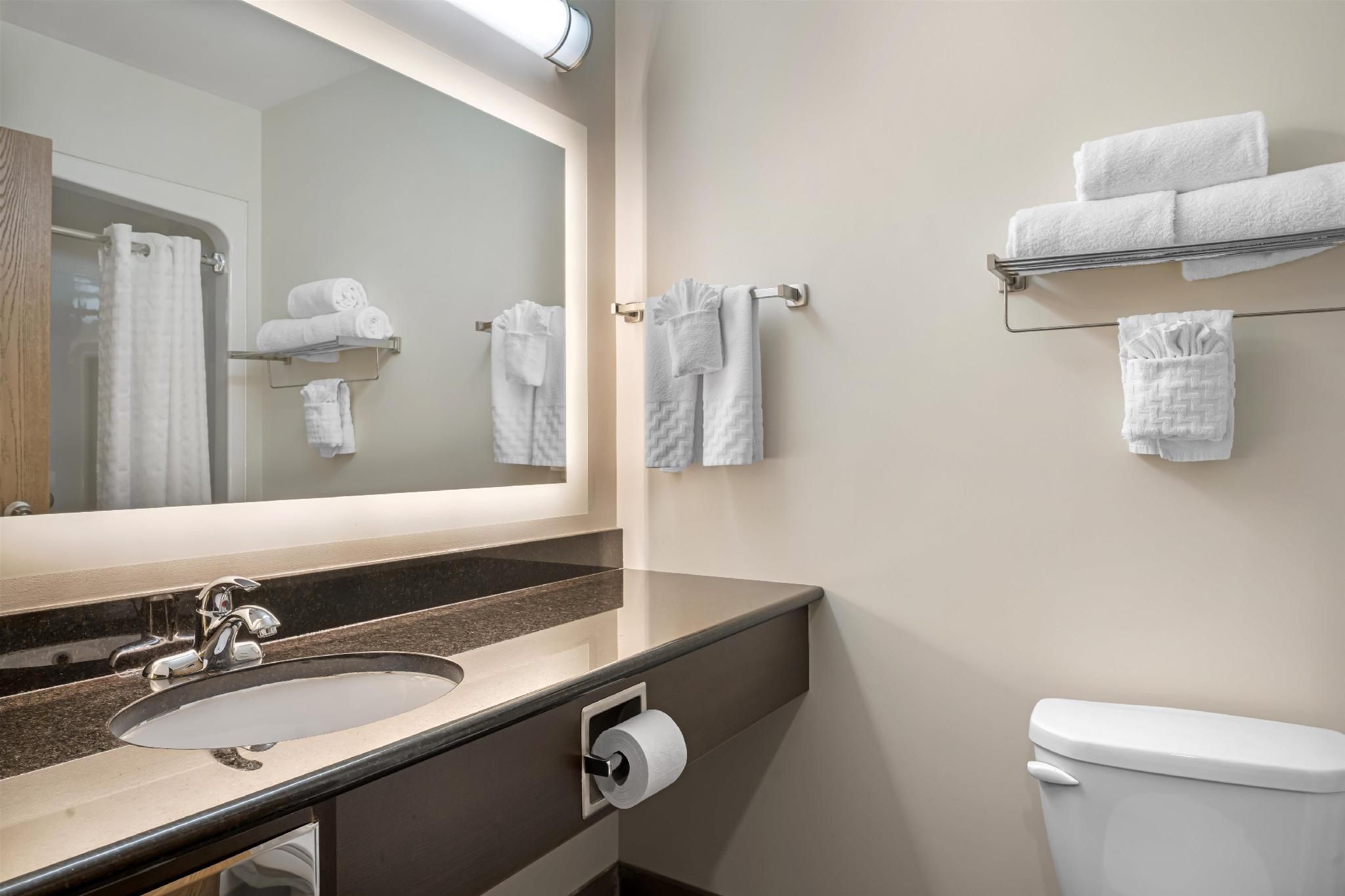 Suite - 1 King Bed, Nonsmoking, Sofabed, Living Area