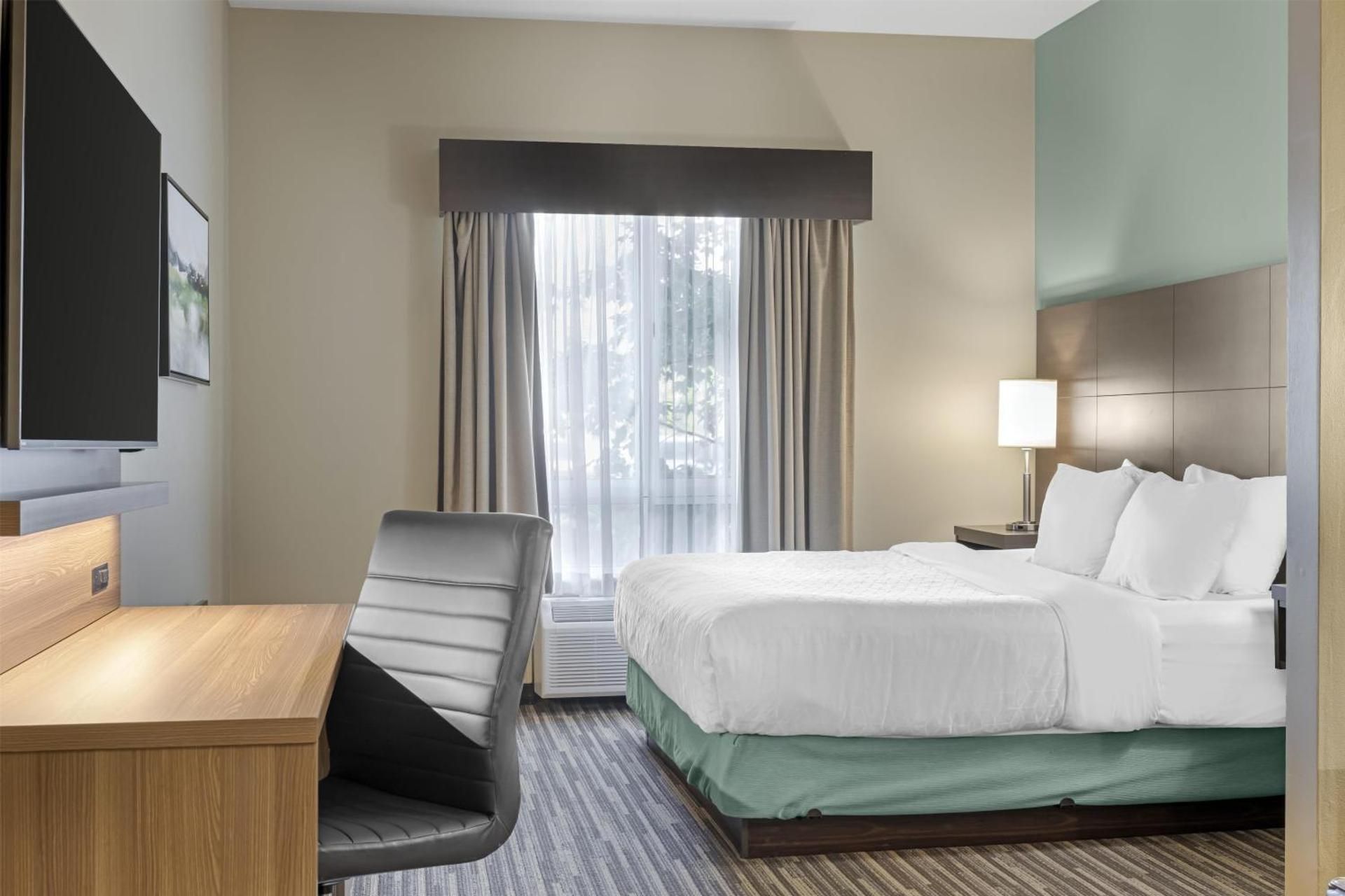 Suite - 1 King Bed, Nonsmoking, Jacuzzi