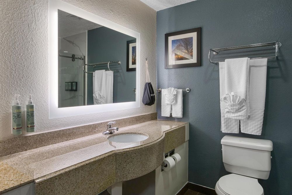 Best Western Waldo Inn and Suites Standard Room, 1 King Bed, Non Smoking, Refrigerator & Microwave 4