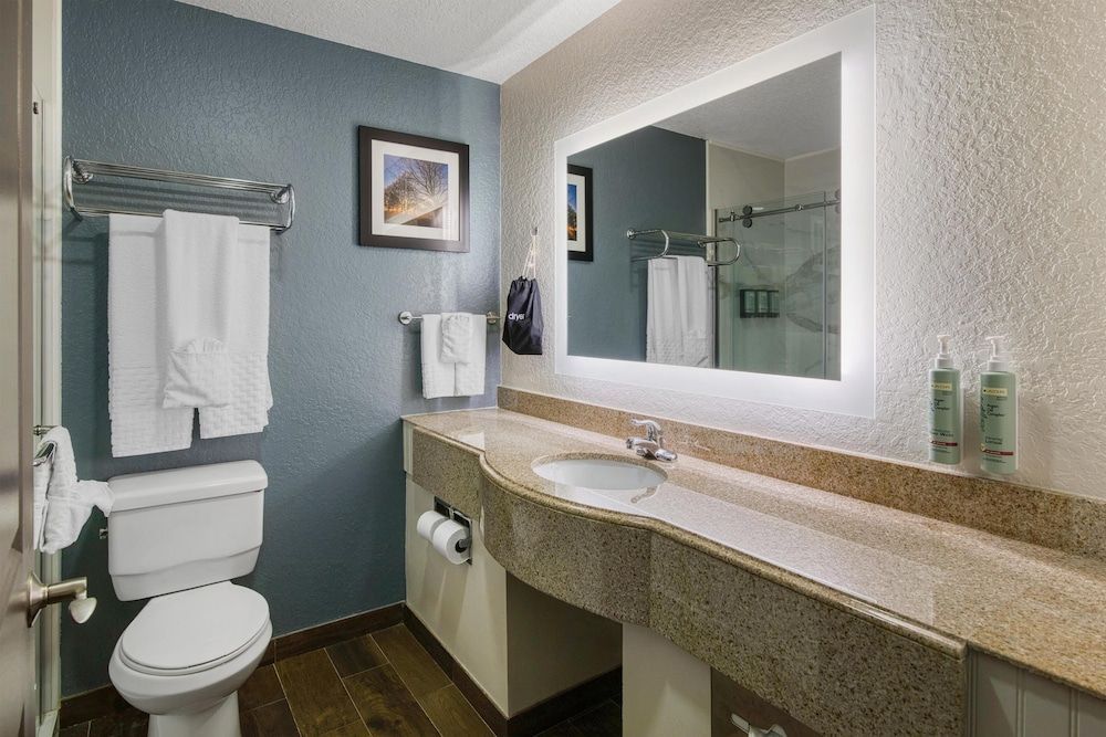 Best Western Waldo Inn and Suites Standard Room, 1 King Bed, Non Smoking, Refrigerator & Microwave (Pet Friendly) 4