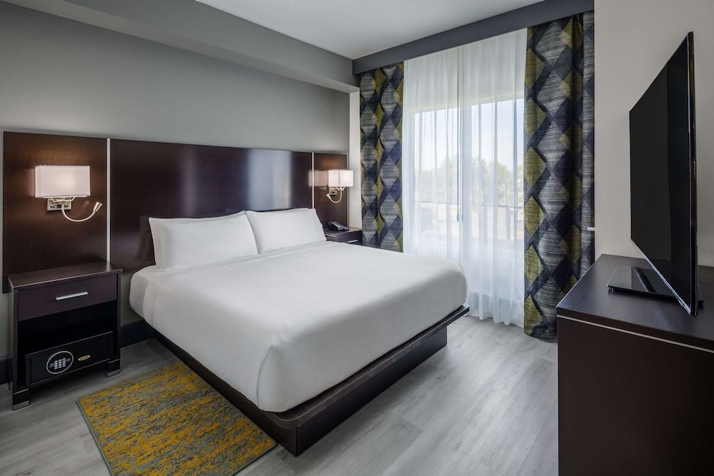 Room, 1 King Bed