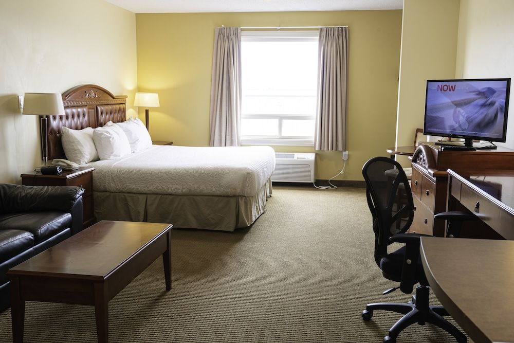 Standard Room, 1 King Bed with Sofa bed, Non Smoking (Efficiency)