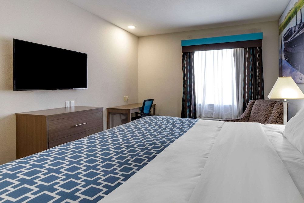 Standard Room, 1 King Bed, Non Smoking