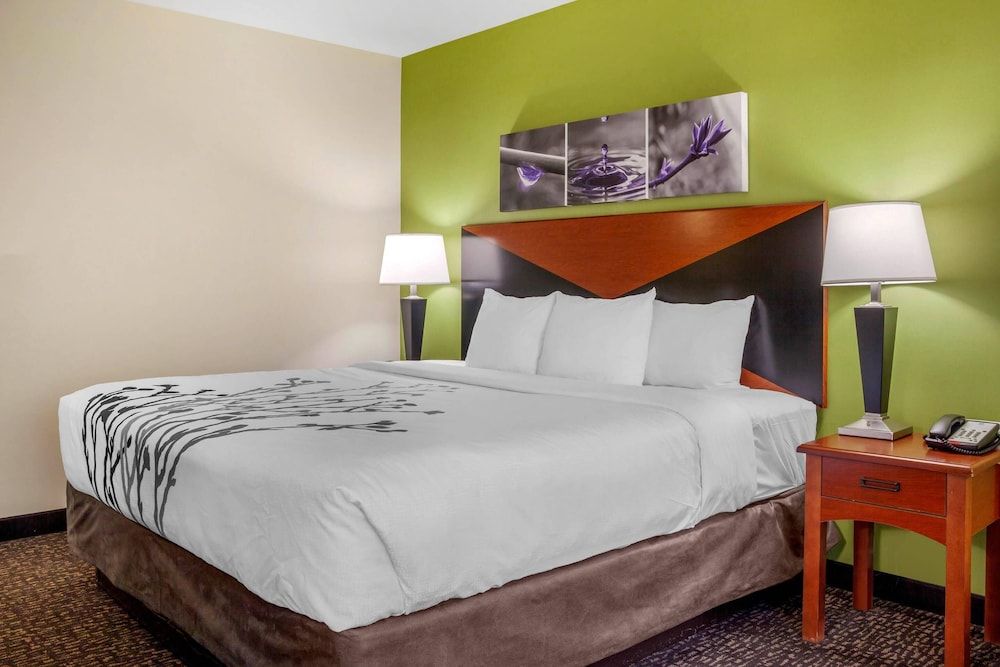 Standard Room, 1 King Bed, Non Smoking