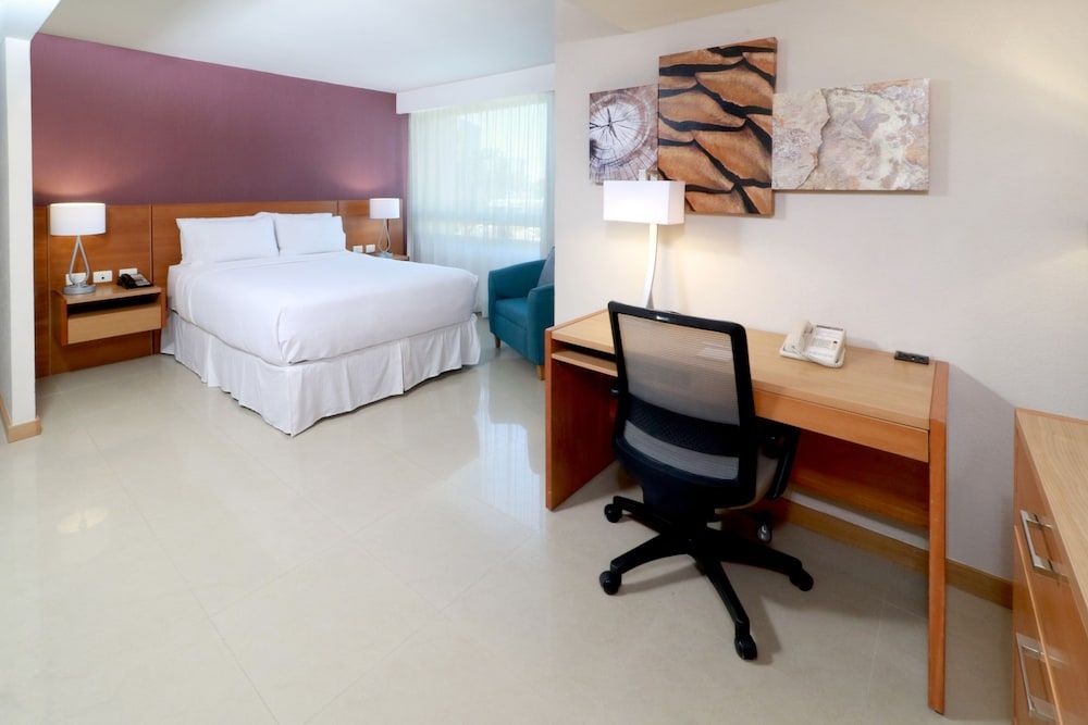 Studio Suite, 1 Queen Bed, Mobility Accessible, Kitchen