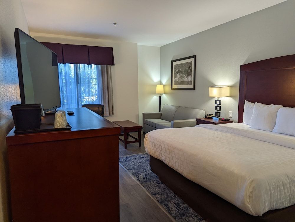 Room, 1 King Bed, Non Smoking
