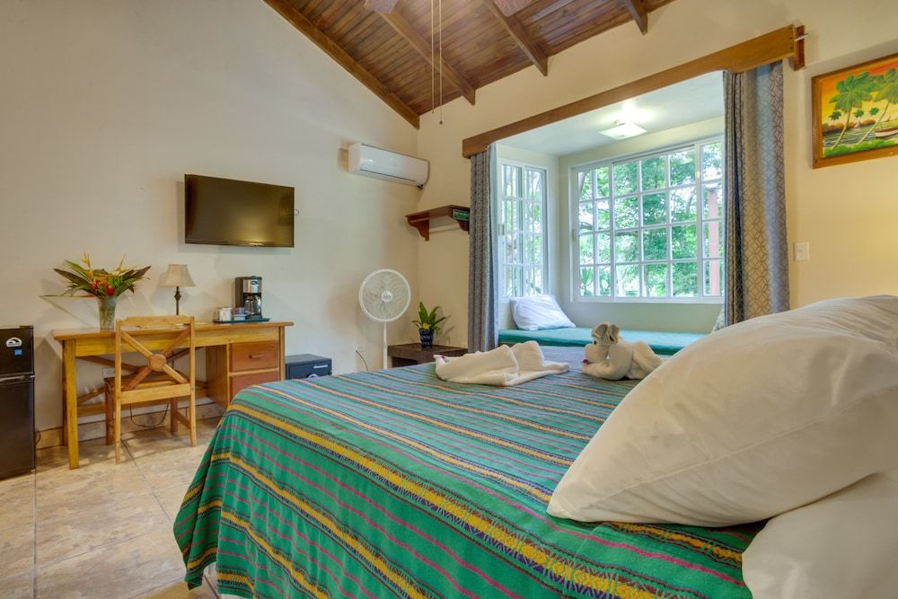 Midas Belize King Deluxe 9