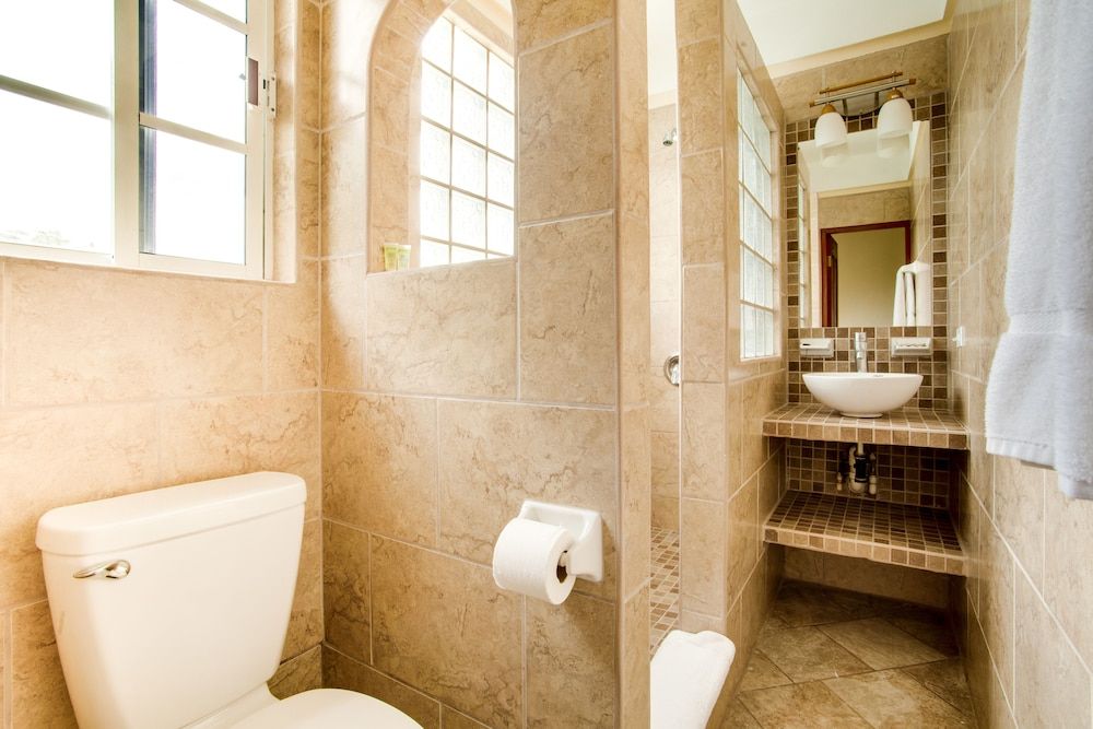 Midas Belize King Deluxe 11