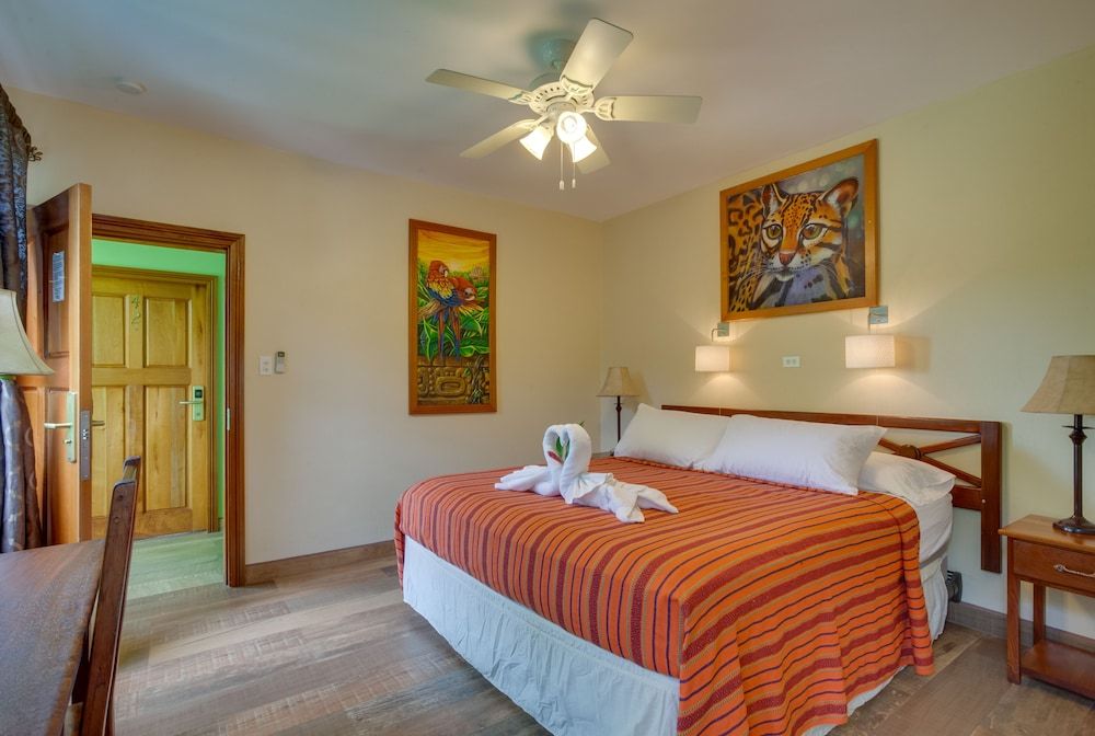 Midas Belize King Deluxe 7