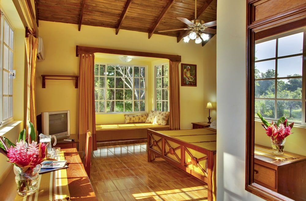 Midas Belize King Deluxe 13