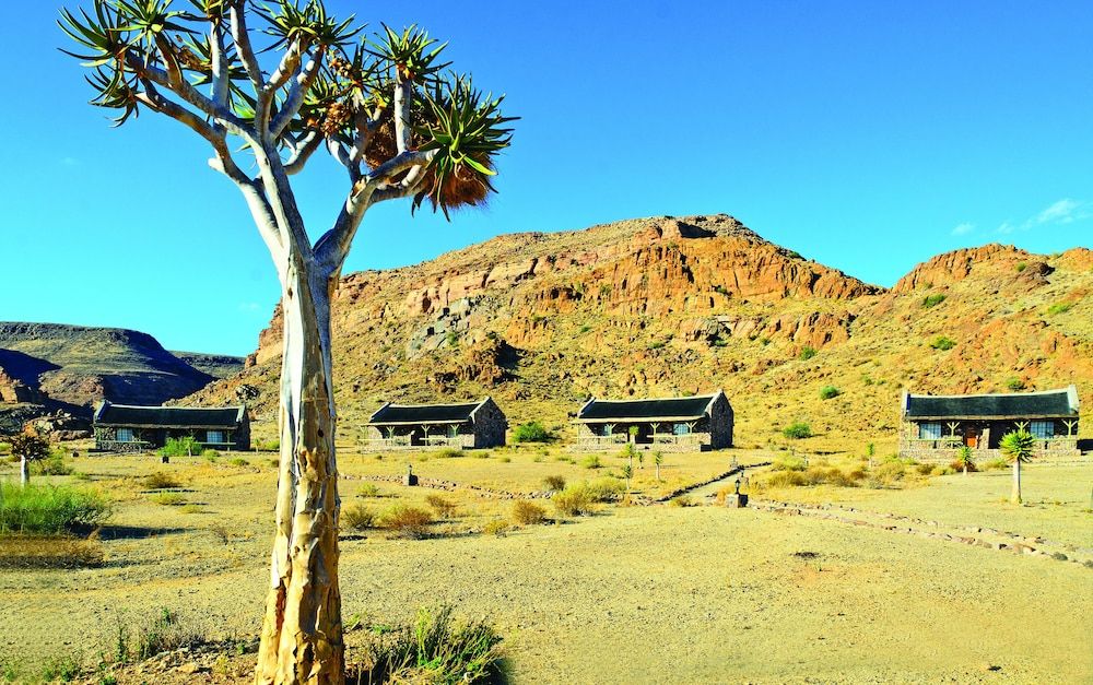 Canyon Village Standard Twin Room 6