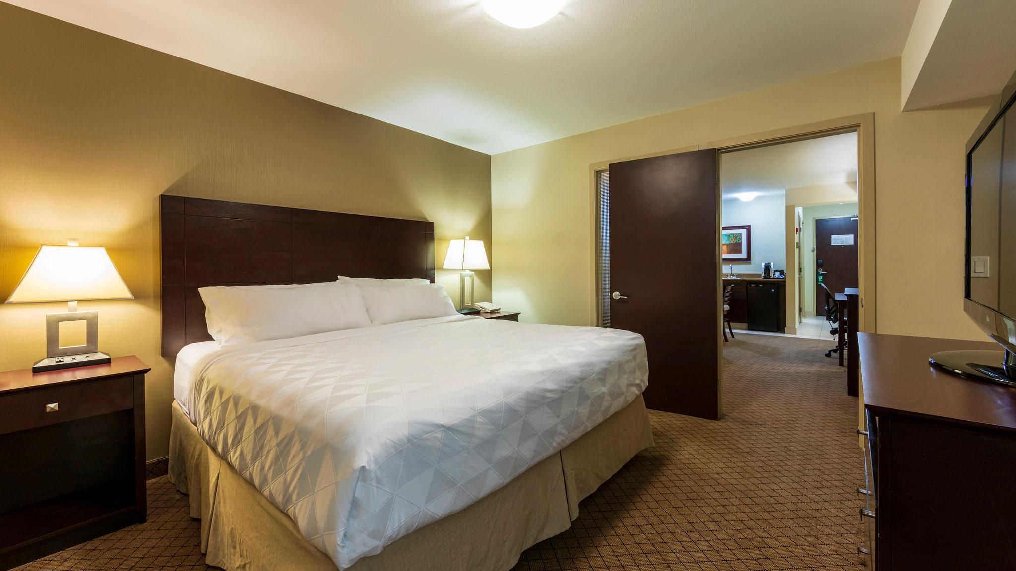 1 King Bed One Bedroom Suite Sofa Bed
