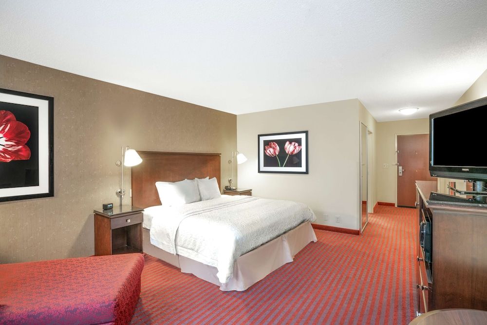 Classic Room, 1 King Bed, Accessible (Roll-In Shower)