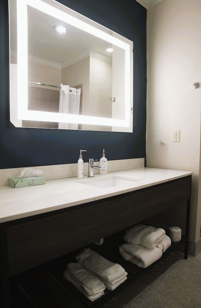Suite, 1 Bedroom, Non Smoking