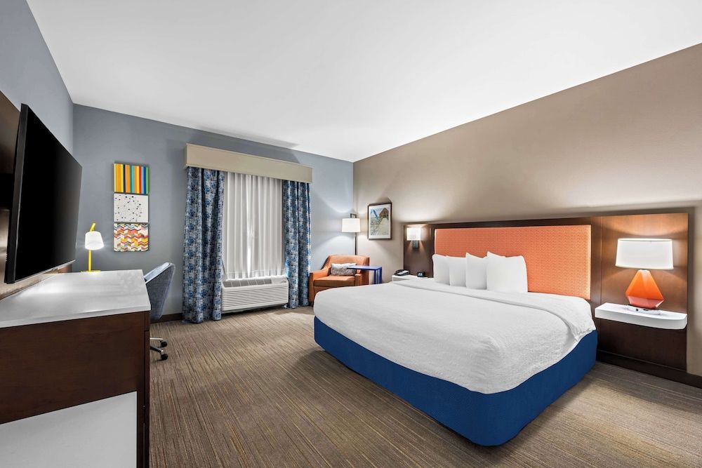 Room, 1 King Bed with Sofa bed, Accessible, Non Smoking (Mobility & Hearing, Roll-in Shower)