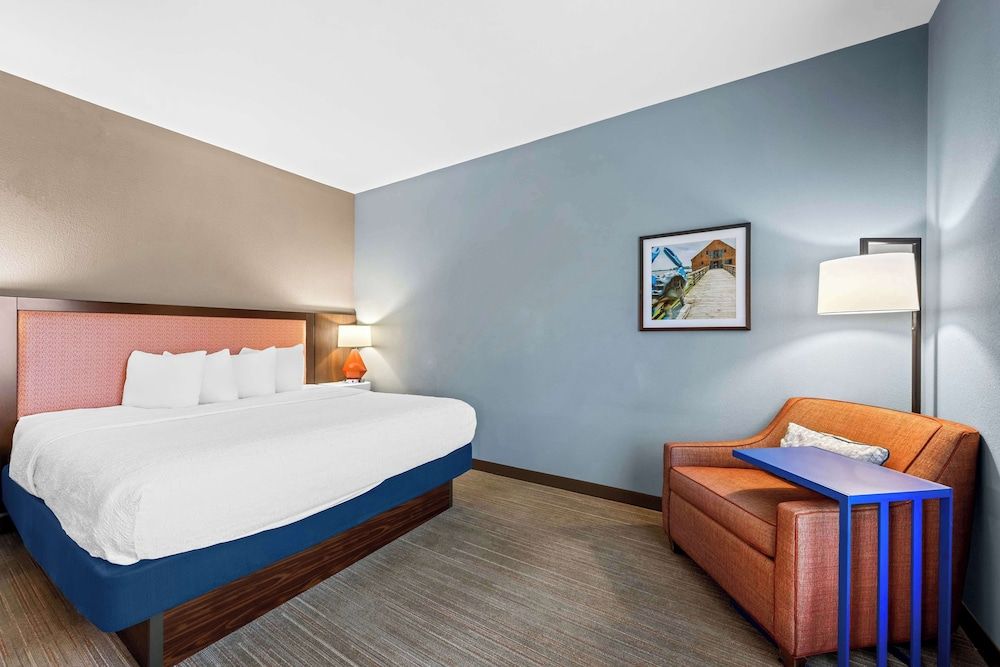 Room, 1 King Bed, Non Smoking