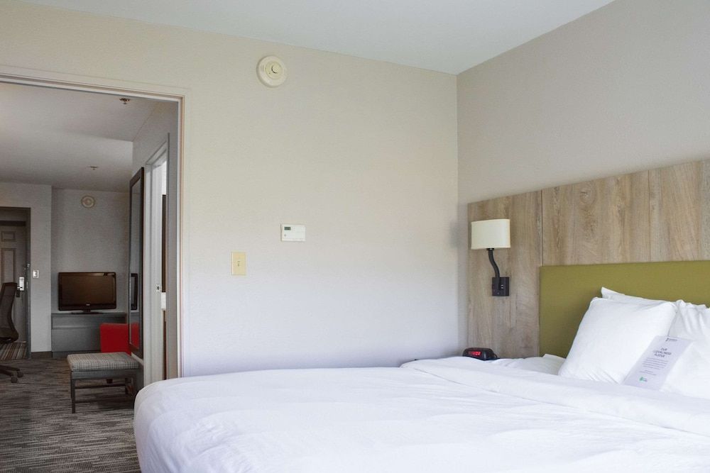 Suite, 1 Bedroom, Non Smoking (Pet Friendly)