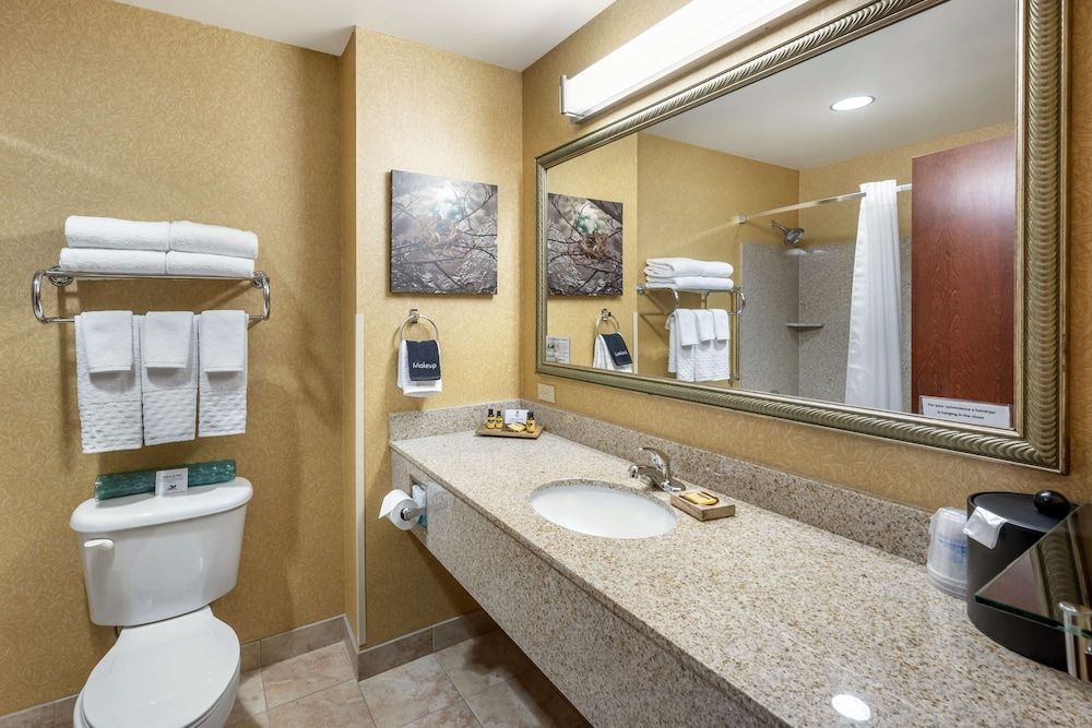 Best Western Plus Ponderay Mountain Lodge Suite, 2 Queen Beds, Non Smoking, Refrigerator & Microwave 3