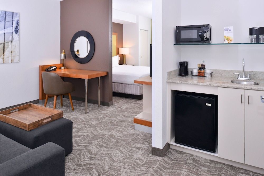 Studio, 1 King Bed with Sofa bed, Non Smoking (Mobility/Hearing Accessible, Tub)