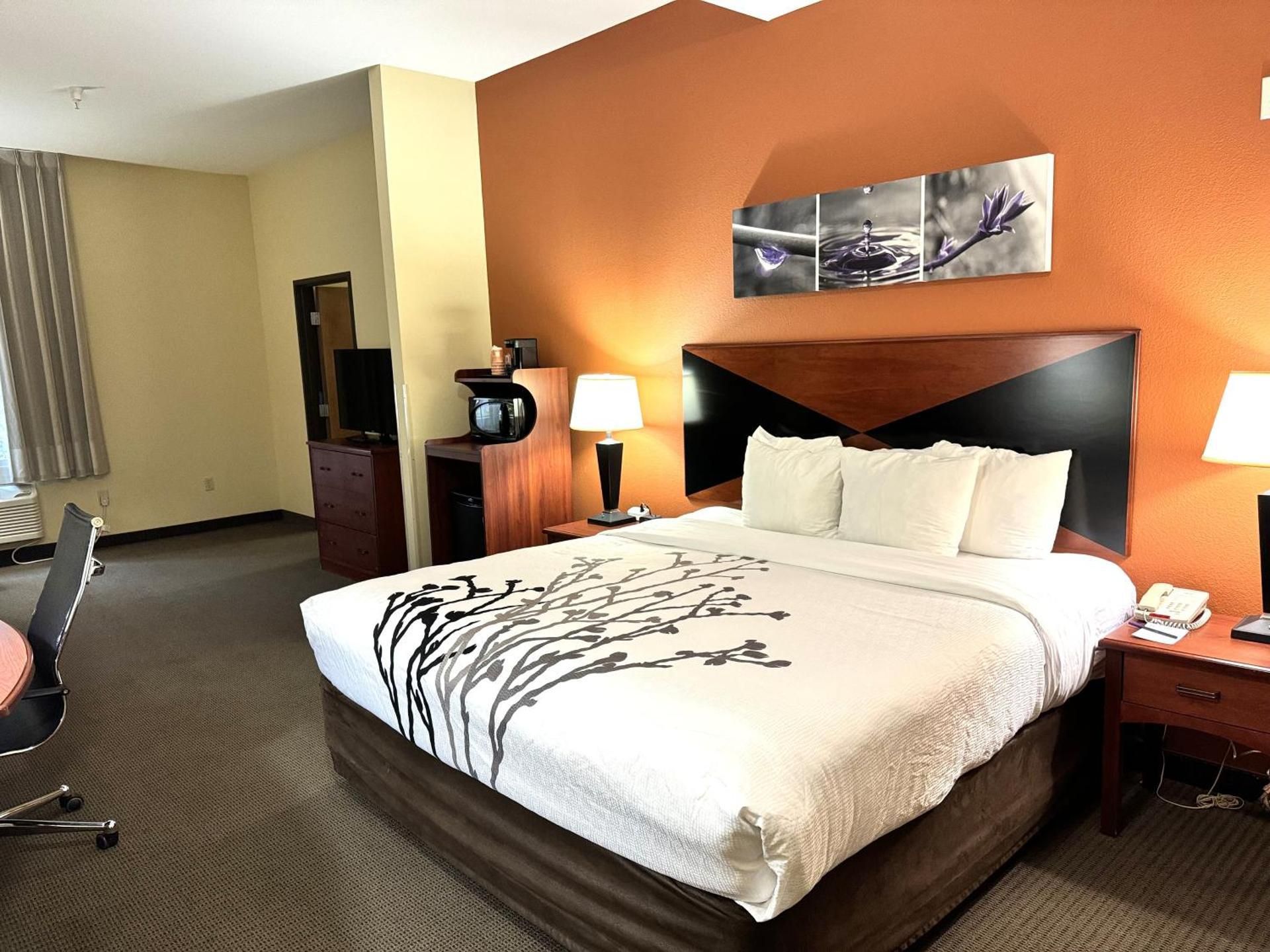 1 King Bed, Suite, Nonsmoking, Accessible