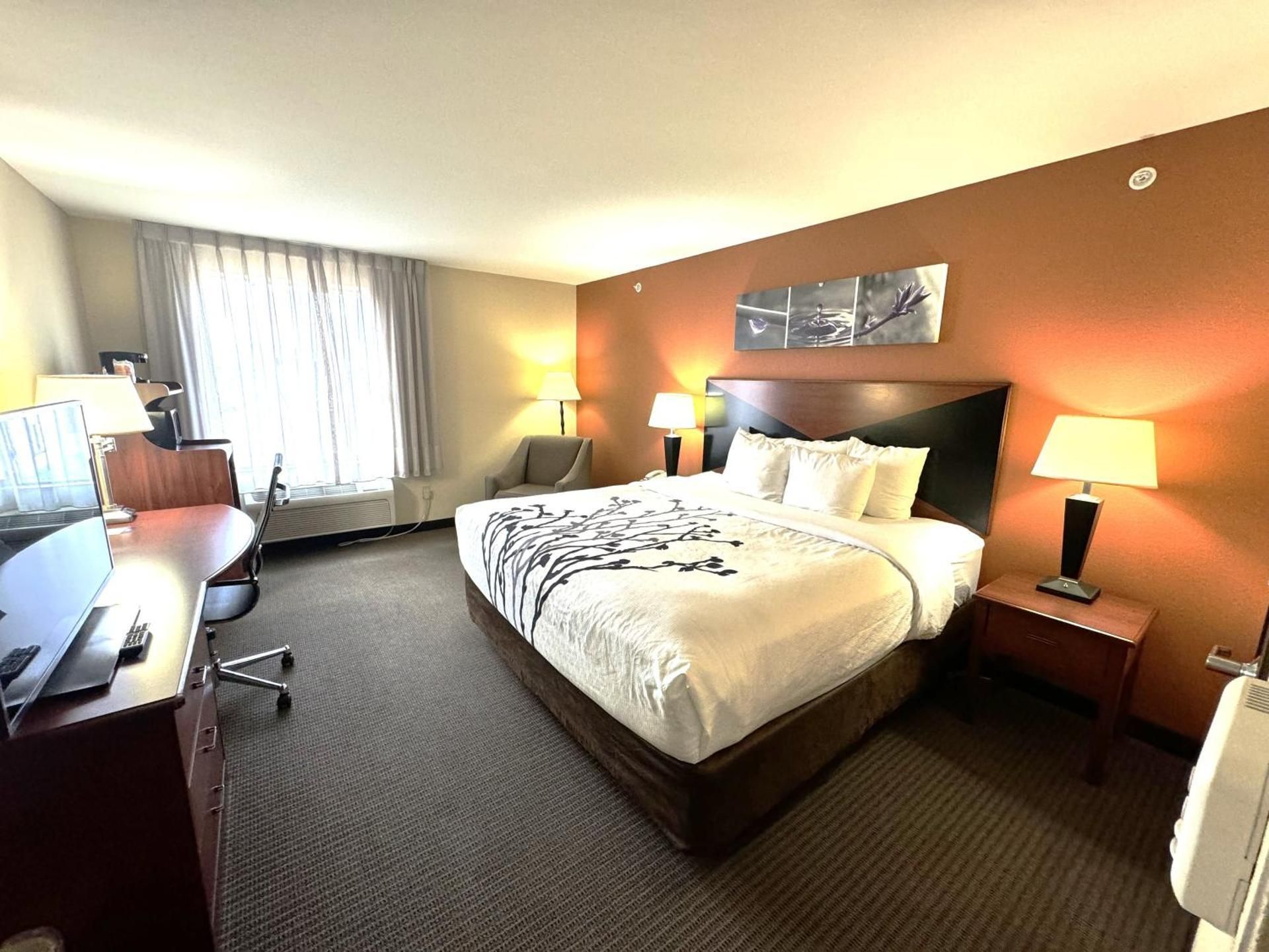 1 King Bed, Nonsmoking, Accessible