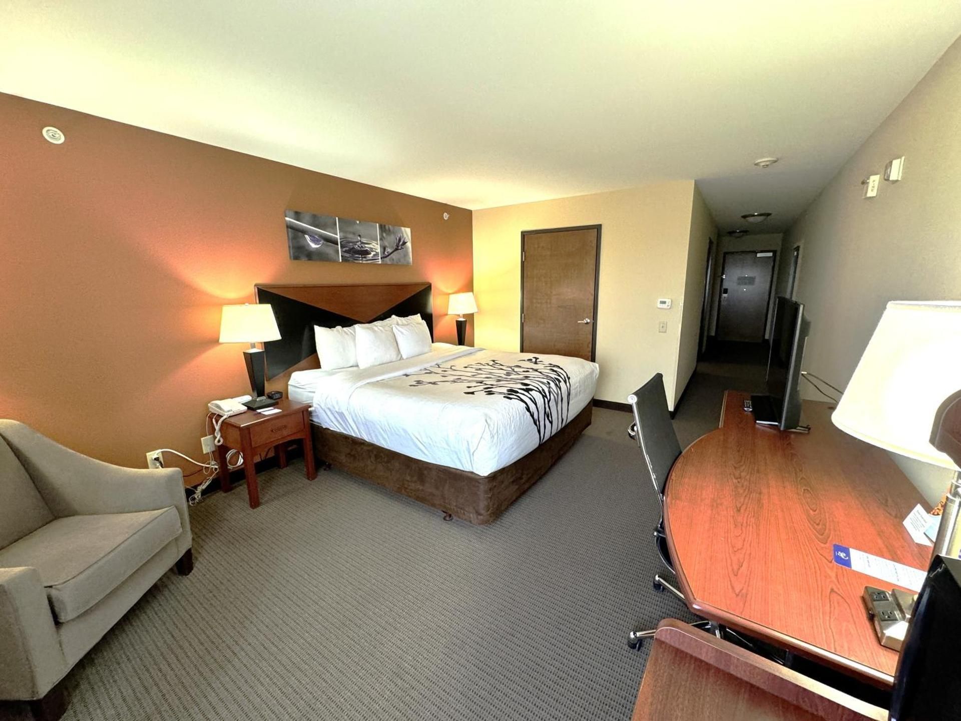 1 King Bed, Nonsmoking, Accessible