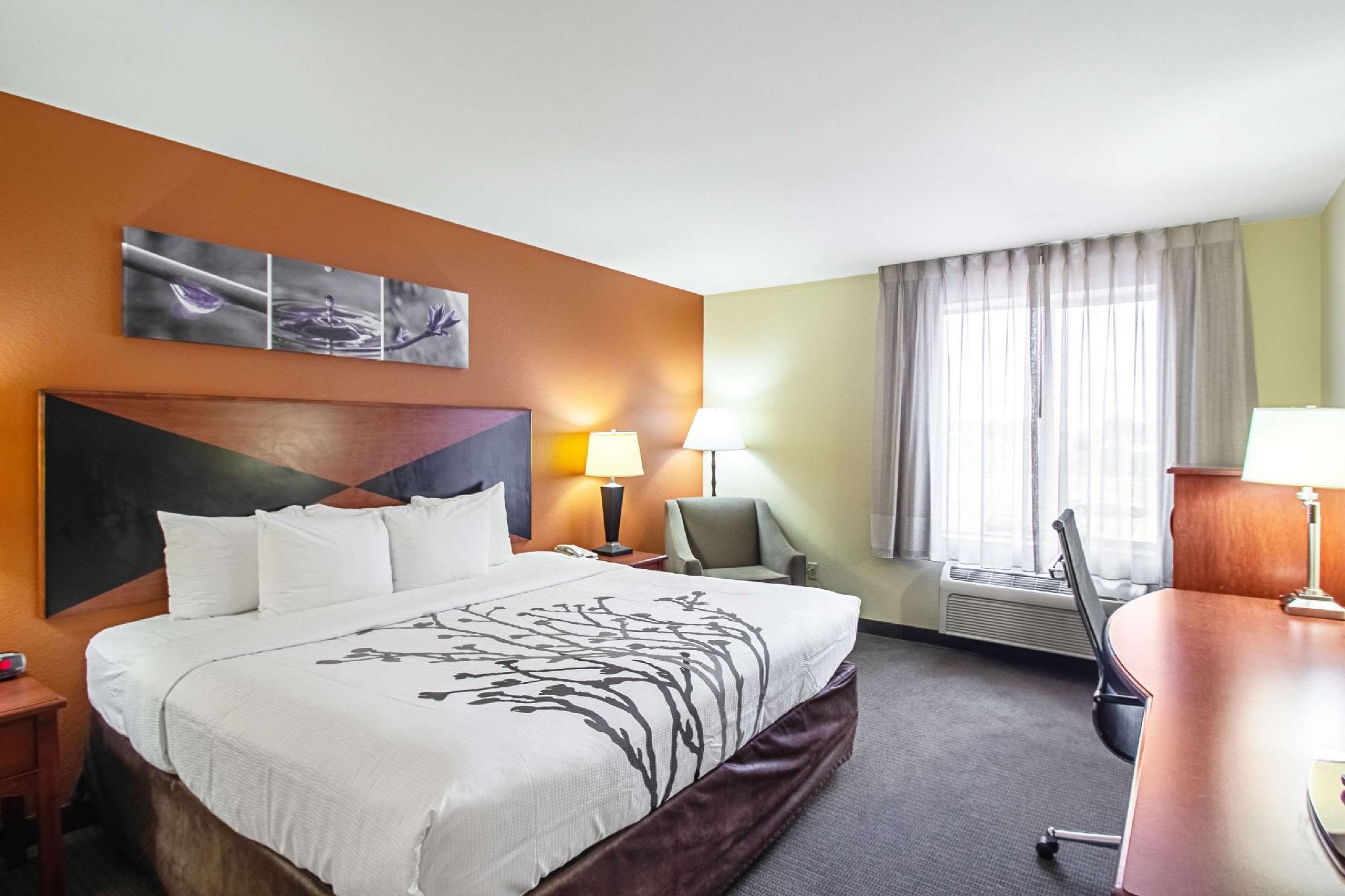 1 King Bed, Nonsmoking