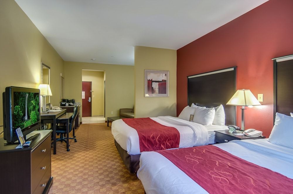 Studio Suite, King and Sofa Bed
