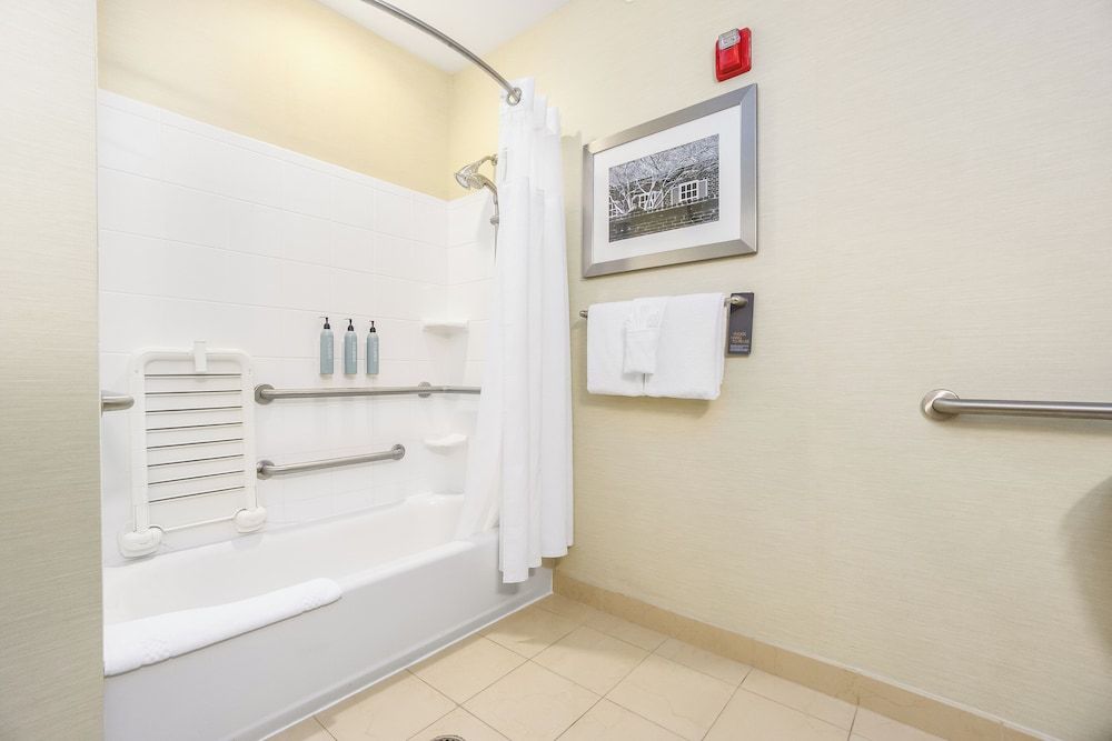 Room, 1 King Bed with Sofa bed (Mobility/Hearing Accessible, Tub)