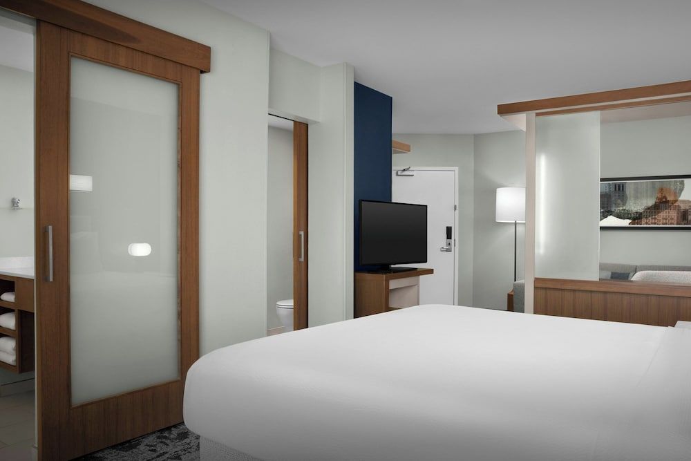 undefined SpringHill Suites Savannah Downtown / Historic District 6