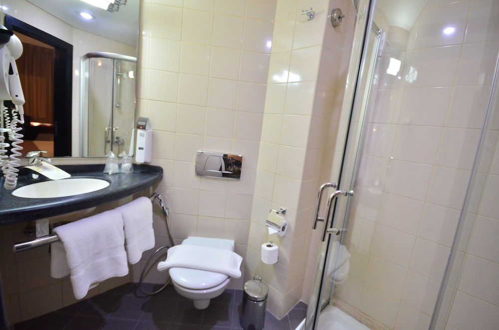 ibis Amman Double Room, 1 Double Bed 9